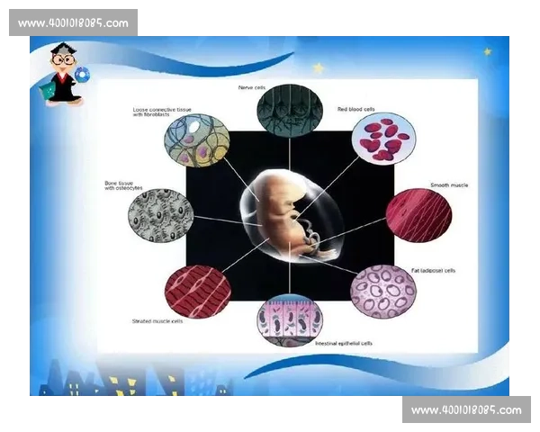 从比赛用球看体育竞技科技创新与规则演变发展之路探索的历史进程